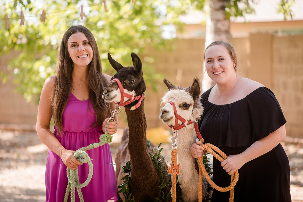 Arizona Wedding Planners manage live llama at a desert inspired baby shower 